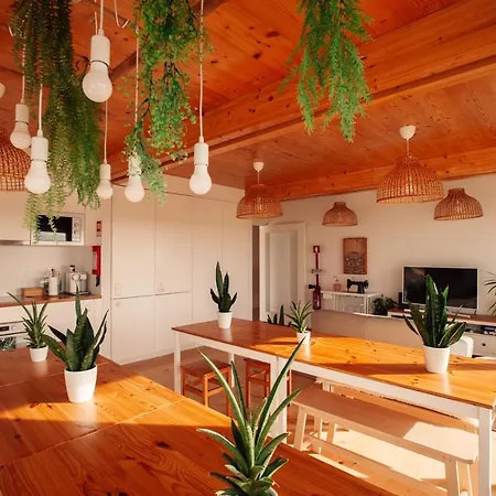 Bed & Breakfast We Surf House